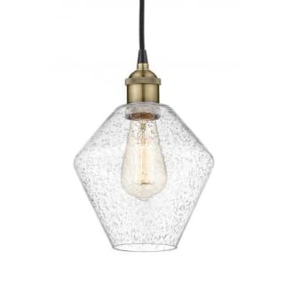 A thumbnail of the Innovations Lighting 616-1P-11-8 Cindyrella Pendant Black Antique Brass / Seedy