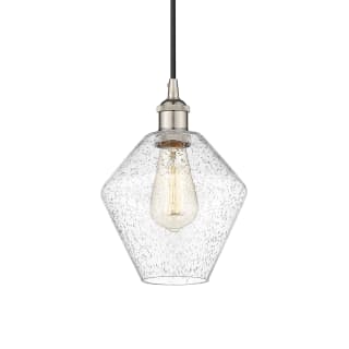 A thumbnail of the Innovations Lighting 616-1P-11-8 Cindyrella Pendant Polished Nickel / Seedy