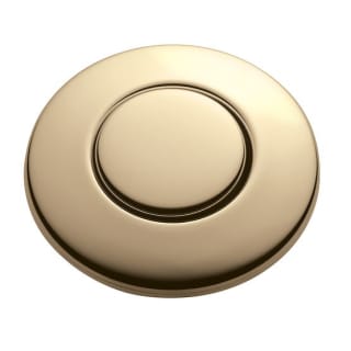 A thumbnail of the InSinkErator STC French Gold