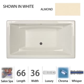 A thumbnail of the Jacuzzi ACE6636 CCR 4CW Almond