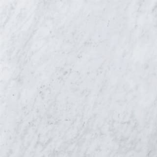 A thumbnail of the James Martin Vanities SS Carrara Marble