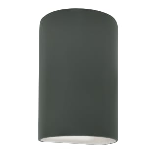 A thumbnail of the Justice Design Group CER-5265W Pewter Green