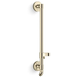 A thumbnail of the Kohler K-45904 Vibrant French Gold