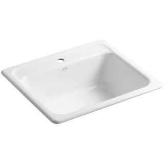 Kohler K-6379-0 White Plastic Surface Swipe with Nylon Bristles and Squeegee  