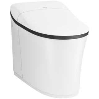Eir 1-Piece 0.8 or 1.0 GPF Dual Flush Elongated Toilet in White, Seat Included Eir 1-Piece 0.8 or 1.0 GPF Dual Flush Elongated Toilet in White, Seat Included