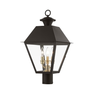 A thumbnail of the Livex Lighting 27219 Bronze / Antique Brass Finish Cluster