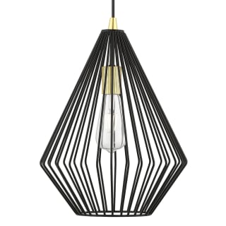 A thumbnail of the Livex Lighting 41325 Shiny Black / Polished Brass Accents