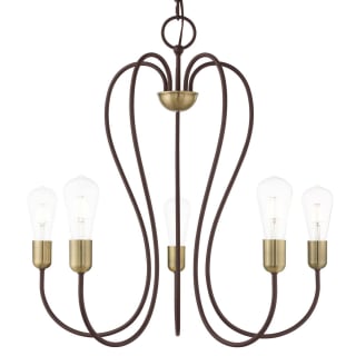 A thumbnail of the Livex Lighting 41365 Bronze with Antique Brass Accents