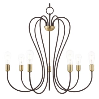 A thumbnail of the Livex Lighting 41367 Bronze with Antique Brass Accents