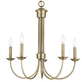 A thumbnail of the Livex Lighting 42685 Antique Brass