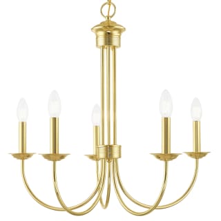 A thumbnail of the Livex Lighting 42685 Polished Brass