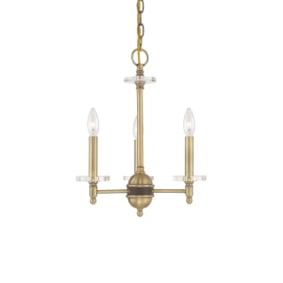 A thumbnail of the Livex Lighting 42703 Antique Brass