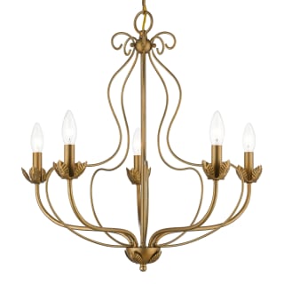 A thumbnail of the Livex Lighting 42905 Antique Gold Leaf