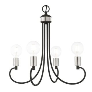 A thumbnail of the Livex Lighting 42924 Black with Brushed Nickel Accents