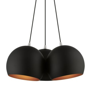 A thumbnail of the Livex Lighting 43393 Black / Brushed Nickel