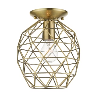 A thumbnail of the Livex Lighting 46598 Antique Brass