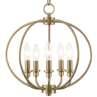 A thumbnail of the Livex Lighting 4665 Antique Brass