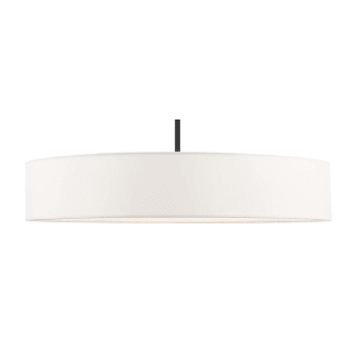 A thumbnail of the Livex Lighting 46925 Black with Brushed Nickel Accents