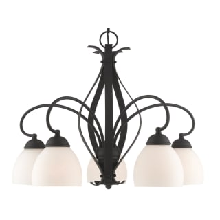 A thumbnail of the Livex Lighting 4775 Black