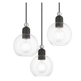 A thumbnail of the Livex Lighting 48973 Black / Brushed Nickel Accents