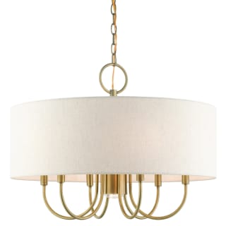 A thumbnail of the Livex Lighting 49806 Antique Brass