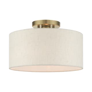 A thumbnail of the Livex Lighting 49809 Antique Brass