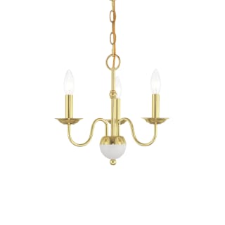 A thumbnail of the Livex Lighting 52163 Polished Brass