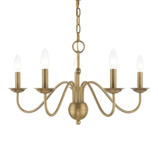 A thumbnail of the Livex Lighting 52165 Antique Brass