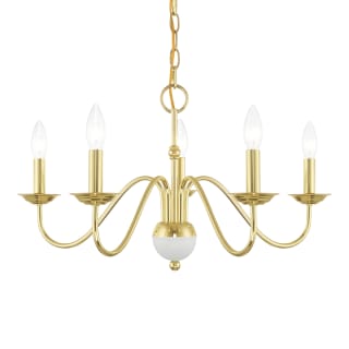 A thumbnail of the Livex Lighting 52165 Polished Brass