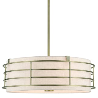 A thumbnail of the Livex Lighting 55114 Antique Brass