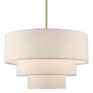 A thumbnail of the Livex Lighting 57484 Antique Brass