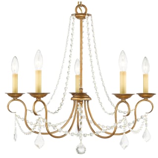 A thumbnail of the Livex Lighting 6515 Antique Gold Leaf