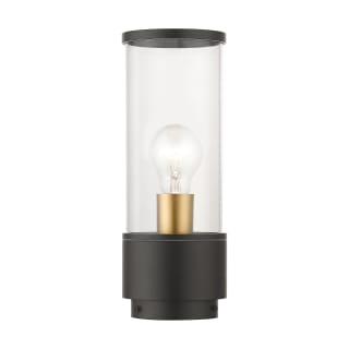 A thumbnail of the Livex Lighting 71925 Bronze / Antique Gold