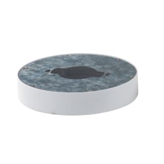 Maxim wafer sale