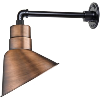 A thumbnail of the Millennium Lighting RAS10-RGN13 Natural Copper
