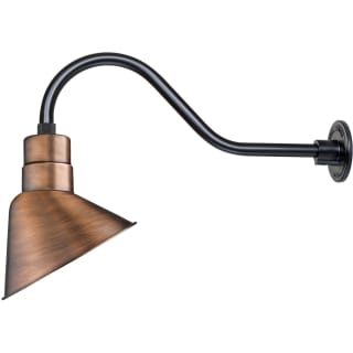A thumbnail of the Millennium Lighting RAS10-RGN22 Natural Copper