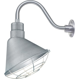 A thumbnail of the Millennium Lighting RAS12-RGN15 Galvanized