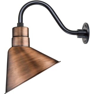 A thumbnail of the Millennium Lighting RAS12-RGN15 Natural Copper