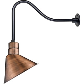 A thumbnail of the Millennium Lighting RAS12-RGN23 Natural Copper