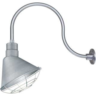 A thumbnail of the Millennium Lighting RAS12-RGN24 Galvanized