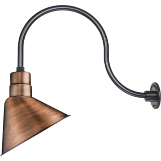 A thumbnail of the Millennium Lighting RAS12-RGN24 Natural Copper