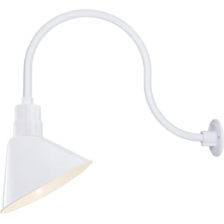 A thumbnail of the Millennium Lighting RAS12-RGN24 White