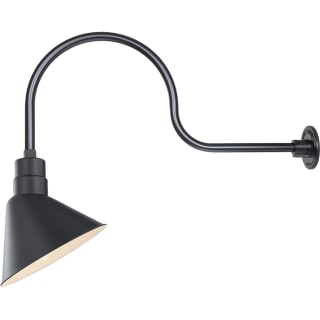 A thumbnail of the Millennium Lighting RAS12-RGN30 Satin Black