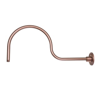 A thumbnail of the Millennium Lighting RGN30 Copper