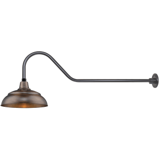 A thumbnail of the Millennium Lighting RWHS14-RGN41 Natural Copper