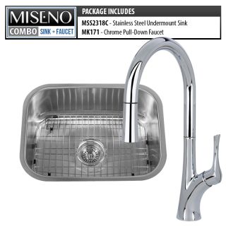 Kitchen sink faucet combo