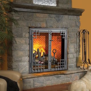 Napoleon BGD90NT na The Dream™ 50,000 BTU Direct Vent Zero Clearance  Natural Gas Fireplace - VentingDirect.com