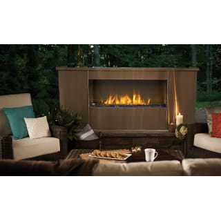 Napoleon Gss48 Stainless Steel Galaxy 55000 Btu 48 Inch Wide Built