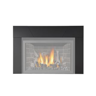 Napoleon Fireplace Accessory I3s6