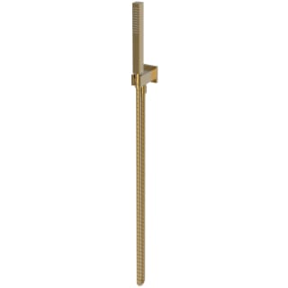 Newport Brass Newport Bath Single Function Shower Head Satin